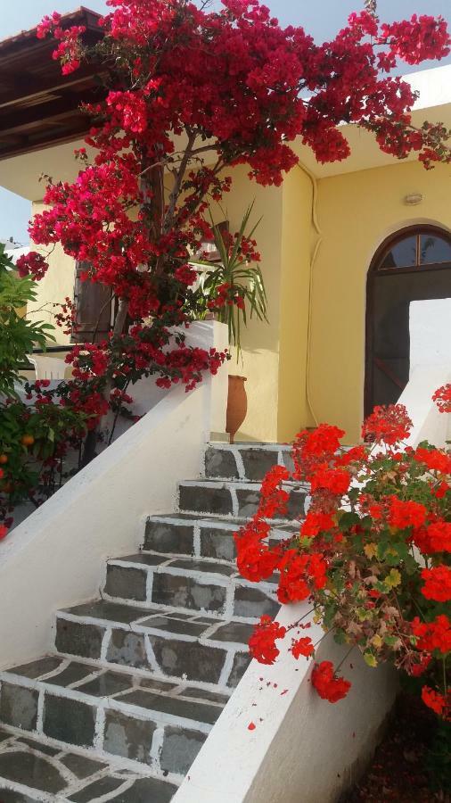 Elia Houses Koutsounari Exterior foto